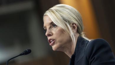 Gun-Rights Group Calls for Pam Bondi’s Firing
