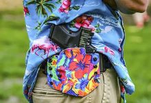 Supreme Court Takes Up Hawaii Gun-Carry Ban Case