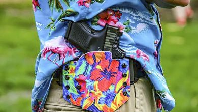 Supreme Court Takes Up Hawaii Gun-Carry Ban Case