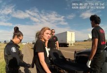 Woman Arrested After Taking Her Two Poodles on a High-Speed Chase and Flipping Her Car