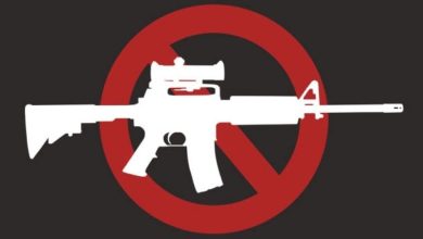 St. Paul Gun Ban Sued Over State Preemption Law Violation