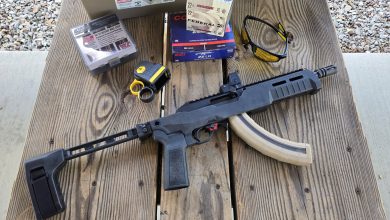 Franklin Armory F22 Pistol Review — .22LR PDW Test Franklin Armory F22 Pistol Review — .22LR PDW Test