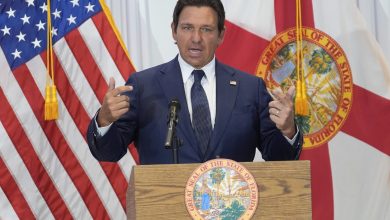 Florida Judges Strike Down Gun Laws