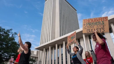 Florida Lawmakers Clash Over New Gun Bills This Fall