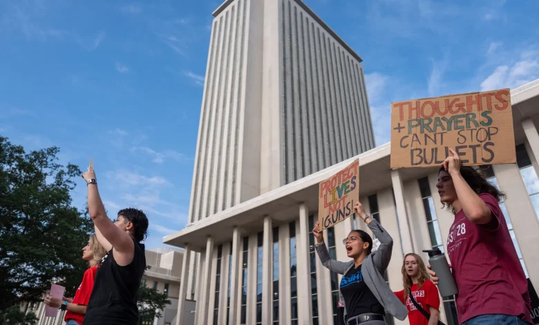 Florida Lawmakers Clash Over New Gun Bills This Fall