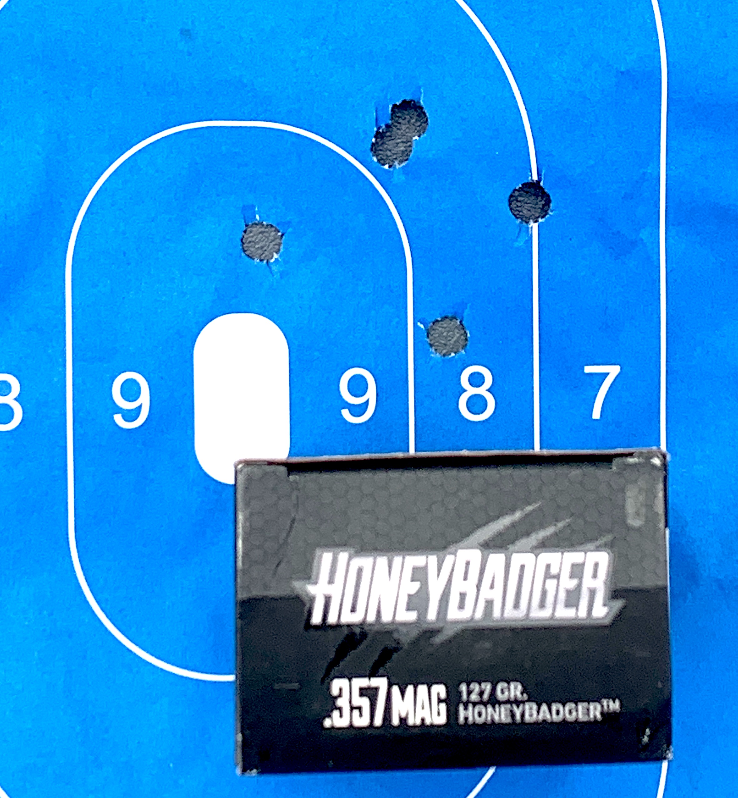 Ruger-GP100-target-2 Ruger-GP100-target-2