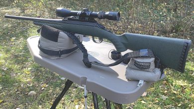 Ruger Glenfield Model A .308 Review