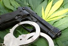 SAF Urges Supreme Court to Hear Marijuana Gun Ban Case