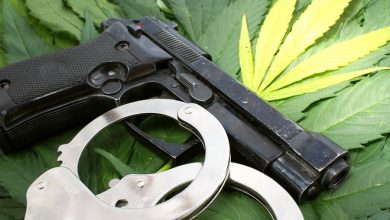 SAF Urges Supreme Court to Hear Marijuana Gun Ban Case