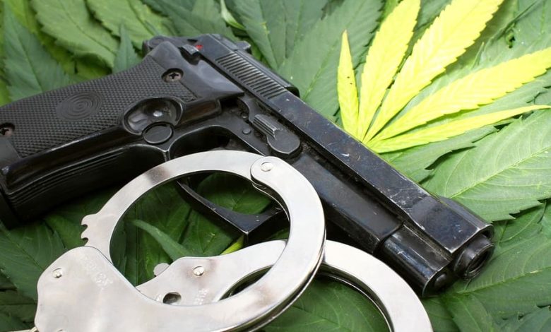 SAF Urges Supreme Court to Hear Marijuana Gun Ban Case