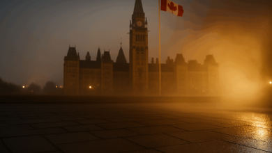 A Socialist Preview of What the Left Wants for America