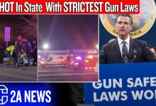 15 Shot at a Kids’ Birthday Party in the State With EVERY Gun Law