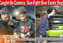 Caught on Camera: Her AR Pistol Saved Her Life — But Nearly Got Someone Hurt