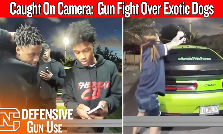 Caught on Camera: Her AR Pistol Saved Her Life — But Nearly Got Someone Hurt