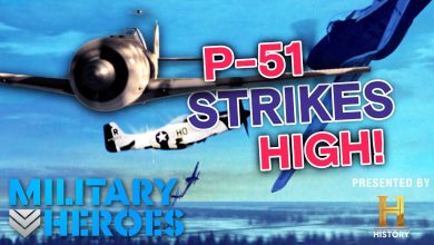 POWER of the P-51 | Dogfights