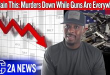 America Doesn’t Have a Gun Problem — The Data Just Proved It