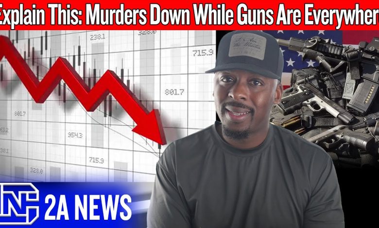 America Doesn’t Have a Gun Problem — The Data Just Proved It