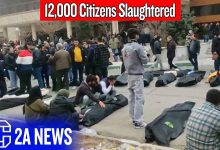 This Government Just Killed 12,000 People After Taking Their Guns