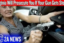 This Virginia Gun Law Turns Victims Into Criminals – VA SB496