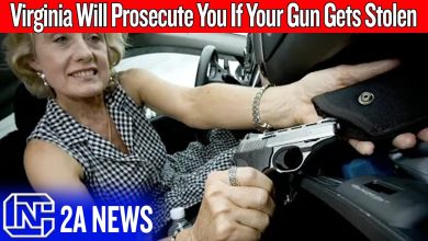 This Virginia Gun Law Turns Victims Into Criminals – VA SB496 This Virginia Gun Law Turns Victims Into Criminals – VA SB496
