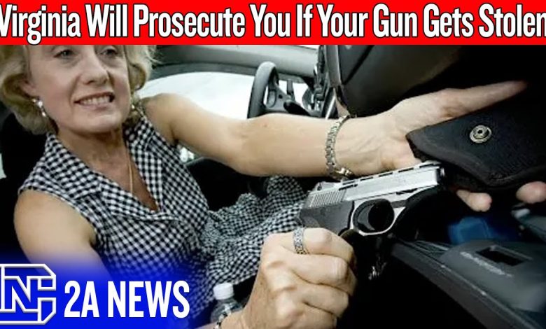 This Virginia Gun Law Turns Victims Into Criminals – VA SB496