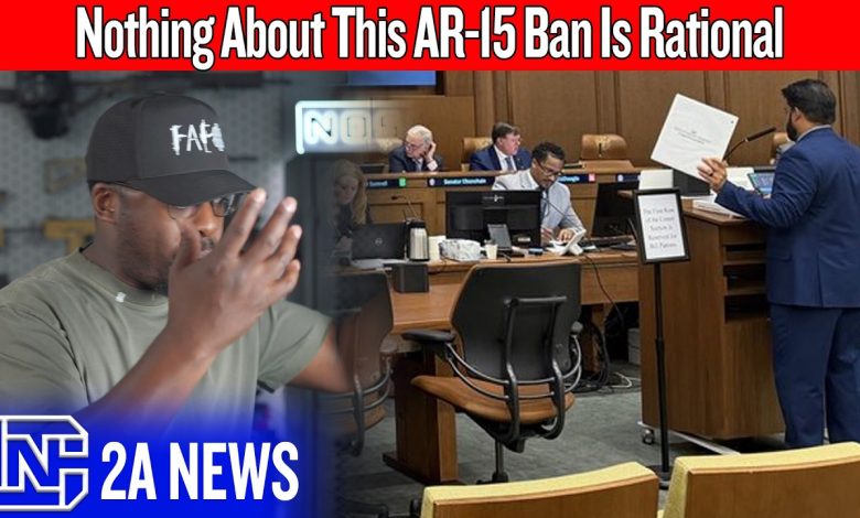 They’ve Completely Lost Their Minds With This New AR-15 Ban