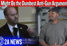 This Might Be the Dumbest Anti-Gun Argument Yet