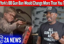 The Real Reason New York Is Going After BB Guns
