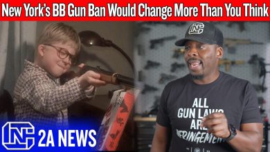 The Real Reason New York Is Going After BB Guns The Real Reason New York Is Going After BB Guns