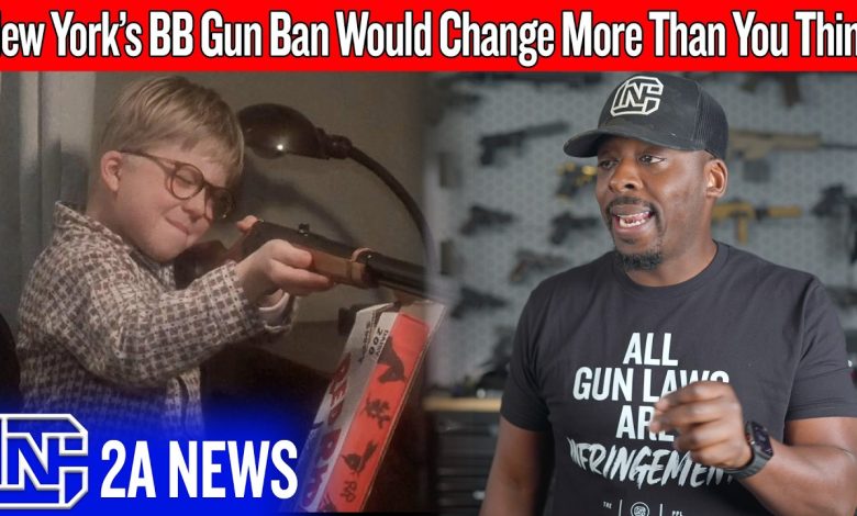 The Real Reason New York Is Going After BB Guns