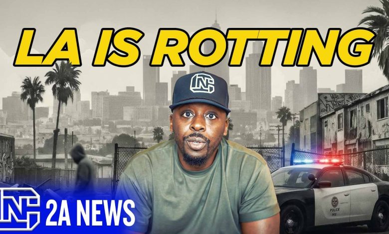 LA Burglars Aren’t Afraid Anymore… And This Video Proves It