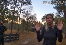 Grandmother Begs a Fake Hitman to Take Out Her Own Brother Over ,000