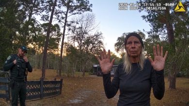 Grandmother Begs a Fake Hitman to Take Out Her Own Brother Over ,000