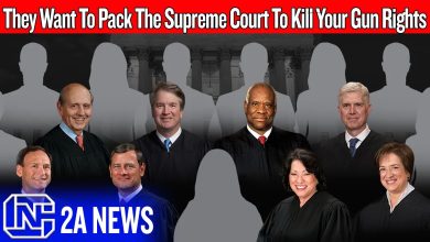Anti-gun Democrats Can Undue Every Recent 2A Win With This One Move Anti-gun Democrats Can Undue Every Recent 2A Win With This One Move