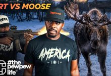 This Moose Didn’t Care About Warning Shots. That’s Why FRTs Matter