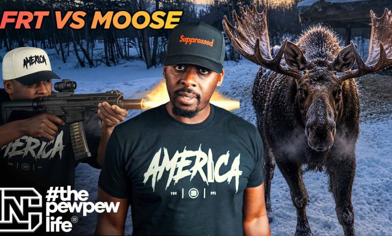 This Moose Didn’t Care About Warning Shots. That’s Why FRTs Matter