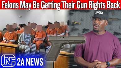 Felons May Be Getting Their Gun Rights Back Felons May Be Getting Their Gun Rights Back