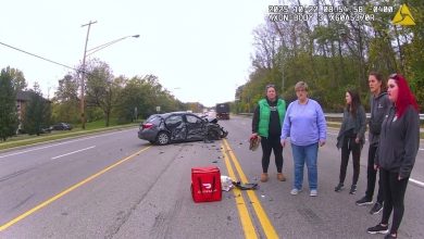 Kroger Shoplifter Drags a DoorDasher 300 Feet Under Her Car Then Acts Like Nothing Happened Kroger Shoplifter Drags a DoorDasher 300 Feet Under Her Car Then Acts Like Nothing Happened