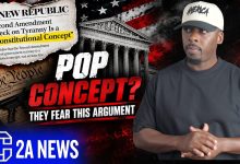 They Called Armed Resistance To Tyranny A Pop Concept… So You Don’t Need It