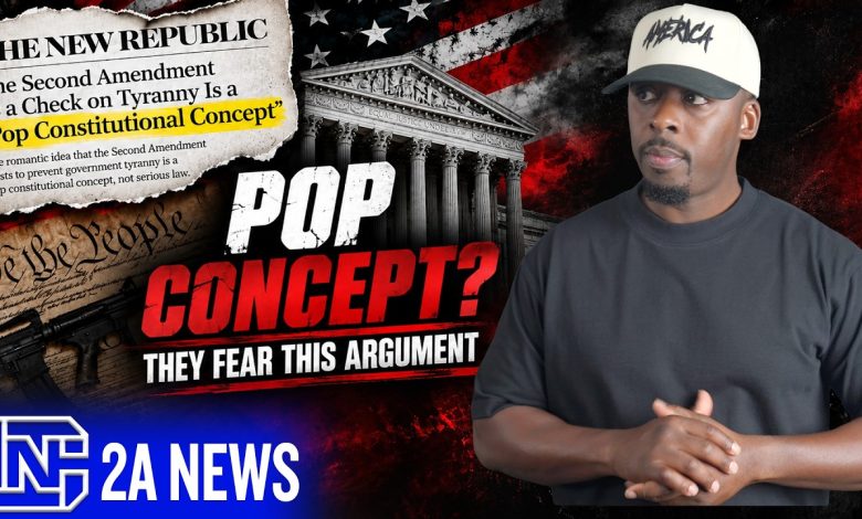 They Called Armed Resistance To Tyranny A Pop Concept… So You Don’t Need It